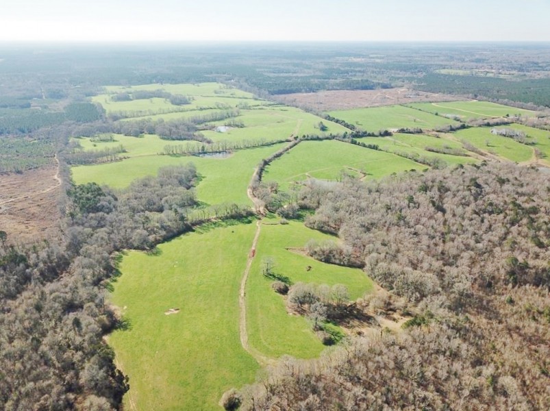 904 Acre Large Pastureland  Lake for Sale Amite County  MS featured image