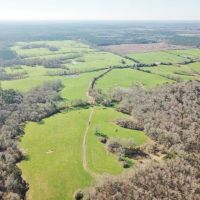 904 Acre Large Pastureland  Lake for Sale Amite County  MS images 1