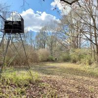 904 Acre Large Pastureland  Lake for Sale Amite County  MS images 2