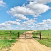 904 Acre Large Pastureland  Lake for Sale Amite County  MS images 6