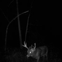 Exquisite Farmhouse with Hunting Land in Southwestern Wisconsin images 4