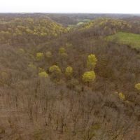 Exquisite Farmhouse with Hunting Land in Southwestern Wisconsin images 6