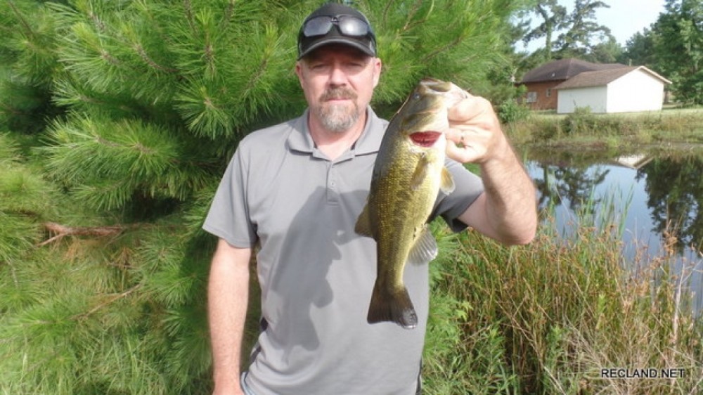 219 ac - Diverse Recreational Tract Near Jasper featured image