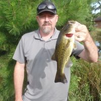 219 ac - Diverse Recreational Tract Near Jasper