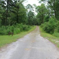 219 ac - Diverse Recreational Tract Near Jasper images 4