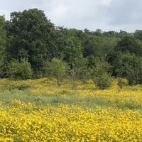 Leanna Road images 2