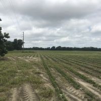 Rushton Farm images 5