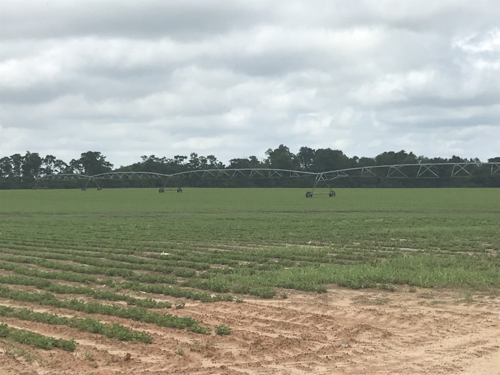Rushton Farm featured image