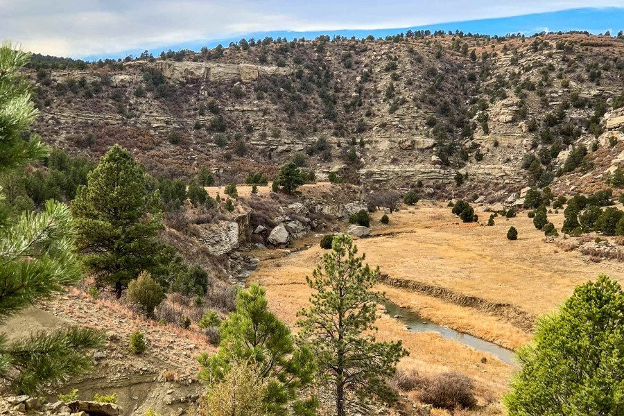 Dawson Elk Valley Ranch featured image