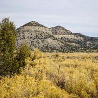 Dawson Elk Valley Ranch images 3