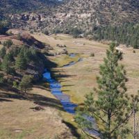 Dawson Elk Valley Ranch images 5
