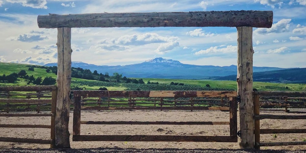 Diamond C Ranch featured image