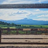 Diamond C Ranch