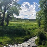 Diamond C Ranch images 3