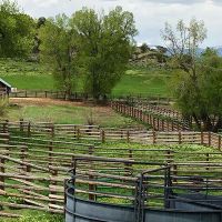 Diamond C Ranch images 4