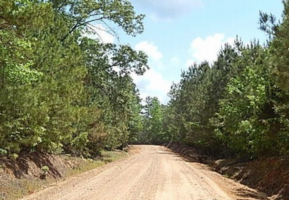 45.2 Acres in Attala County in Kosciusko  MS featured image