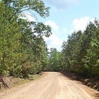 45.2 Acres in Attala County in Kosciusko  MS