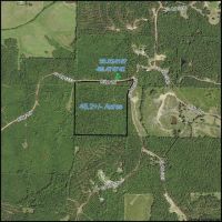45.2 Acres in Attala County in Kosciusko  MS images 5