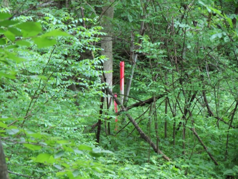 Amazing Deer Hunting Property Buffalo County  WI featured image