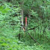 Amazing Deer Hunting Property Buffalo County  WI