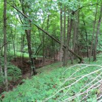 Amazing Deer Hunting Property Buffalo County  WI images 6