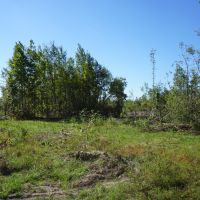 280.14 Acres Hunting and Recreation Tract images 3