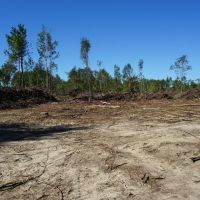 280.14 Acres Hunting and Recreation Tract images 2