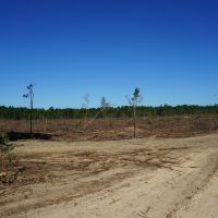 280.14 Acres Hunting and Recreation Tract