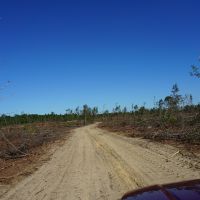 280.14 Acres Hunting and Recreation Tract images 6