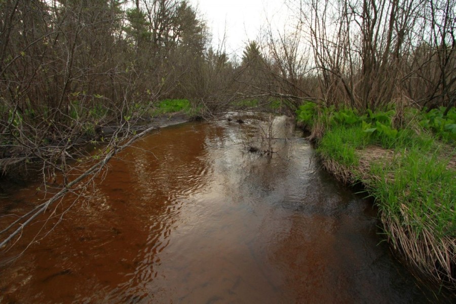 Recreational Paradise For Sale in South Central Wisconsin featured image