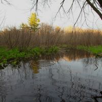 Recreational Paradise For Sale in South Central Wisconsin images 3