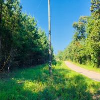 118 Acres  Carter Road  Washington Parish images 2