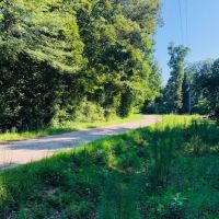 118 Acres  Carter Road  Washington Parish images 3