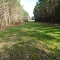 435 Acres in Lawrence County in Sontag  MS