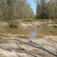 435 Acres in Lawrence County in Sontag  MS images 2