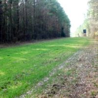 435 Acres in Lawrence County in Sontag  MS images 5