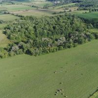 Wisconsin Organic Farm For Sale in Dodge County images 2