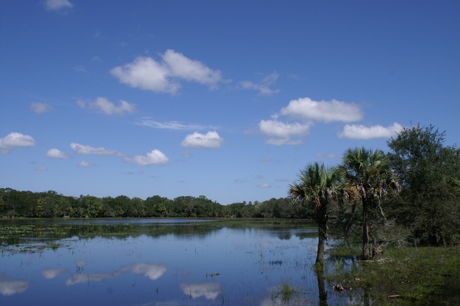 Hunting Recreational Ranch For Sale in Glades County FL Hunting Land for Sale HuntingLocator