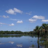 Hunting &nbsp; Recreational Ranch For Sale in Glades County  FL