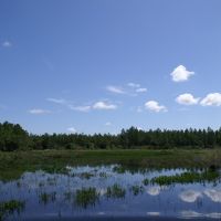 Hunting &nbsp; Recreational Ranch For Sale in Glades County  FL images 2