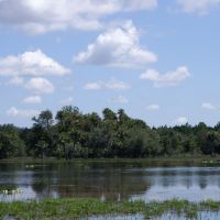 Hunting &nbsp; Recreational Ranch For Sale in Glades County  FL images 4