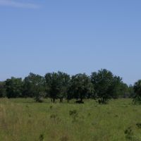 Hunting &nbsp; Recreational Ranch For Sale in Glades County  FL images 6