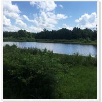 73.5 Acres with a Home in Holmes County at 14468 Emory Road in West  MS images 2