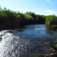 Spring Creek Acreage images 2