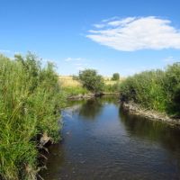 Spring Creek Acreage images 3