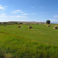 Spring Creek Acreage images 6