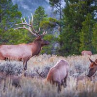 Rudio Mountain Ranch