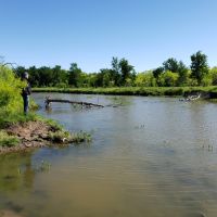 Live Water Recreational Ranch For Sale in Brown County  TX images 3