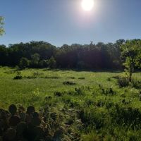 Live Water Recreational Ranch For Sale in Brown County  TX images 4