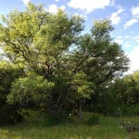 Live Water Recreational Ranch For Sale in Brown County  TX images 5